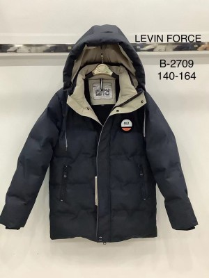 Levin Force  